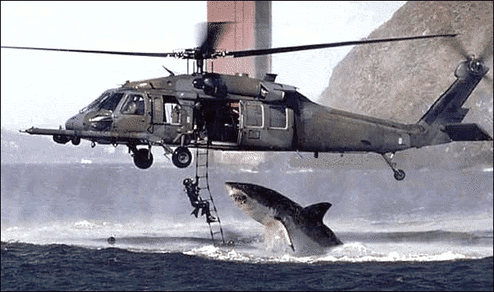 Ein berhmter Internet-Hoax: Der Haiangriff auf einen Hubschrauber. (Bild: Fake / Charles Maxwell/Lance Cheung)