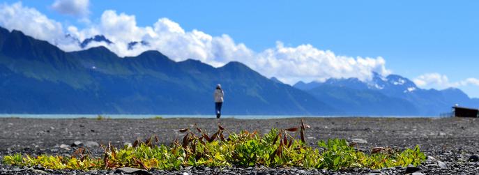 Wenn Bewerber nicht respektvoll behandelt und wertgeschtzt werden, sind sie ganz schnell ber alle Berge (Bild: Satish Viswanath/Flickr)