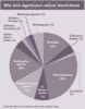 Preview von Business:Dienstleister:Multimedia Service Ranking 2006:Wie sich Agenturen selbst bezeichnen