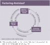 Preview von Factoring-Kreislauf