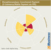 Preview von Disruptionsanalyse - Crosschannel-Payment (E-Commerce/Mobile Payment am POS)