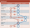 Preview von Gap-Analyse mit Priorisierung anhand des Reifemodells von Onlineshops