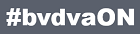 16. BVDVA-Kongress 2023