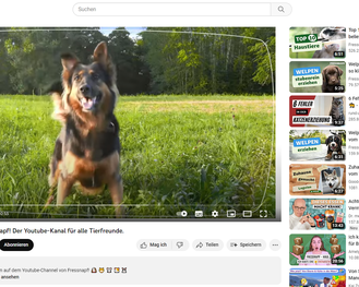 Wuff. Fressnapf ist der erfolgreichste Tierbedarf-Shop auf Youtube (Youtube)
