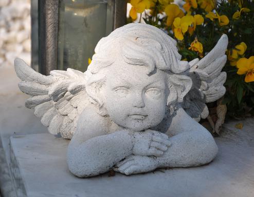 Ob es den Business Angels an den Kragen geht, wird sich erst noch zeigen (Bild: Ruth Rudolph Pixelio) Ob es den Business Angels an den Kragen geht, wird sich erst noch zeigen (Bild: Ruth Rudolph Pixelio)