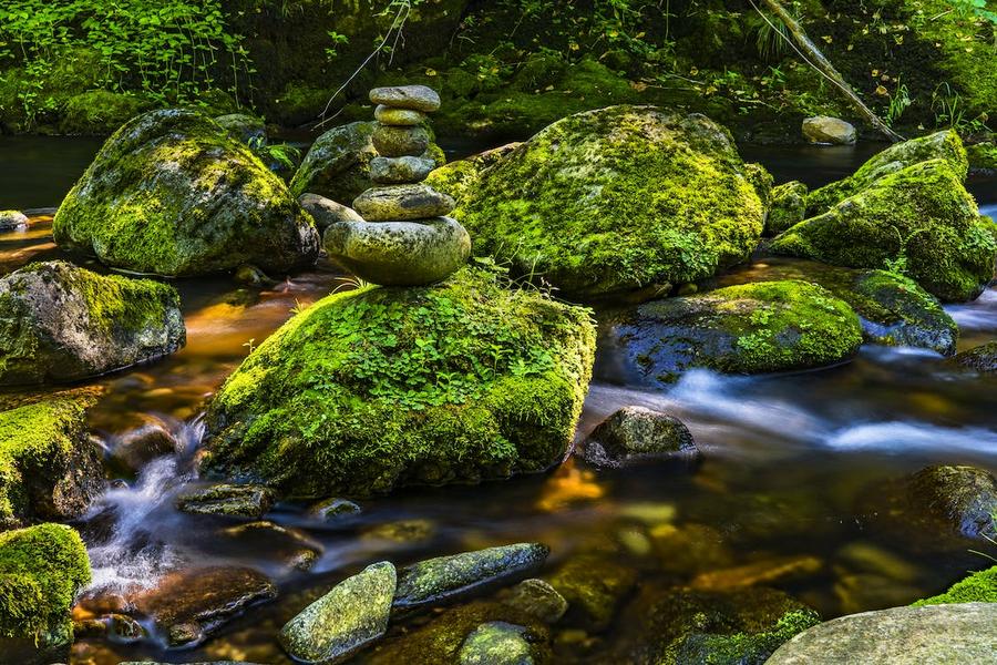  (Felix Mittermeier/Pexels)