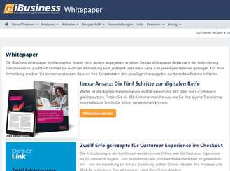  (Bild: iBusiness)