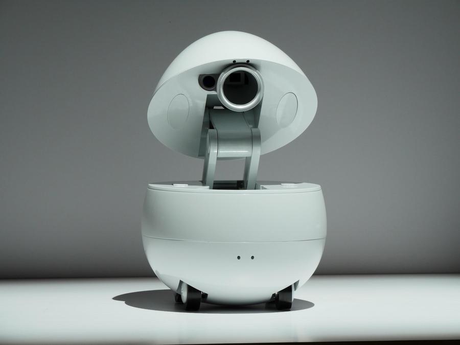 Panasonics Haus-Roboter Companion (Panasonics)