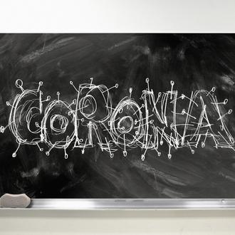 Corona hat im E-Learning eher Veränderungspotenzial und Hürden offengelegt, als de facto eine Revolution loszutreten. (geralt / Pixabay)