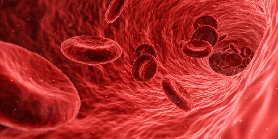 Company Rebuilding entlehnt seinen Ansatz dem biologischen Prinzip eines sanften und organischen Wandels. (qimono)