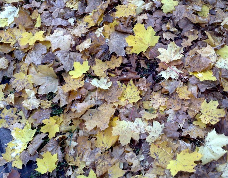 Wenn im Konjunkturherbst die Blätter fallen (Joachim Graf)