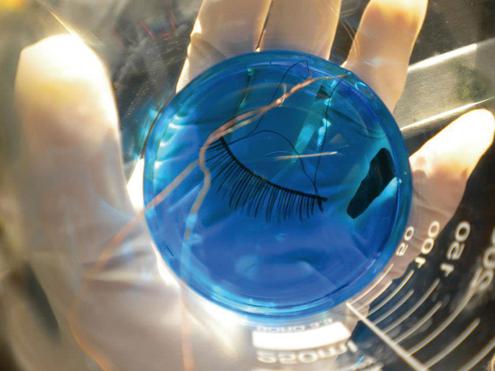Metallische Wimpern in Kombination mit leitendem Lidschatten knnen zuknftig als Eingabegerte dienen (Bild: www.facebook.com/beautytechie)
