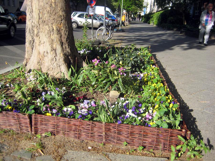  (Mygreentown urban gardening Blog)
