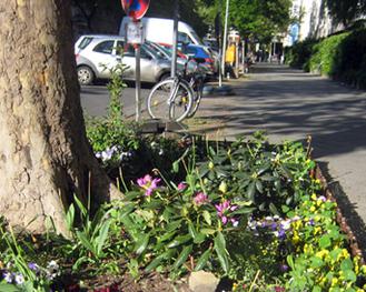  (Mygreentown urban gardening Blog)