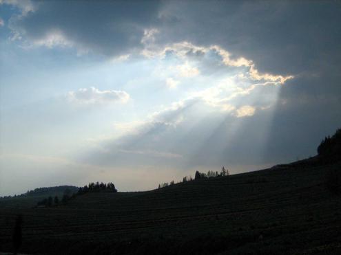 Die Sonne kommt durch: Die Branche sieht optimistisch nach vorne (Bild: Bartosz Kosiorek / wikicommons)