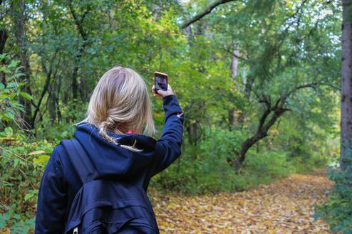 Live-bertragung in Bewegtbild: Twitter-Nutzerin glaubt, sie steht im Wald (Bild: Pixabay / CC0)