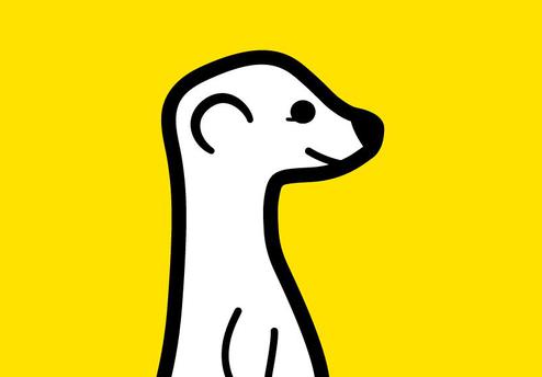 Meerkat-Logo (Bild: Meerkat Screenshot)