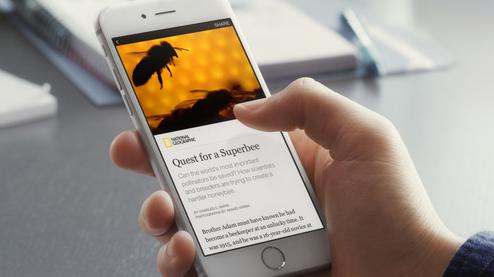 Artikel in Facebooks Publishing-Format Instant Articles. (Bild: Facebook)
