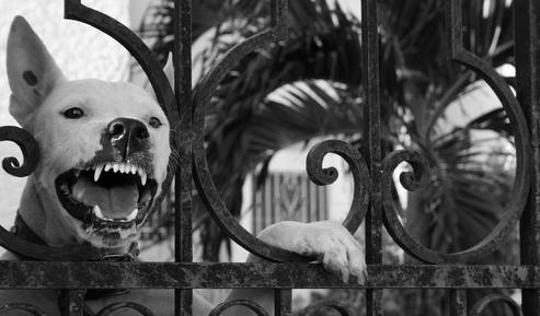  (Bild: SXC.hu/Daniel Andres Forero)