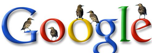 (Bild: Google / HighText)