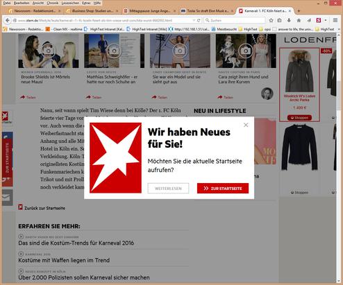  (Bild: Stern.de / Screenshot)
