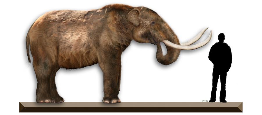 Ist das Mastodon eine Alternative zu Twitter, das ja eben von Elon Musk (rechts) gekauft worden ist? (Dantheman9758/Wikipedia)