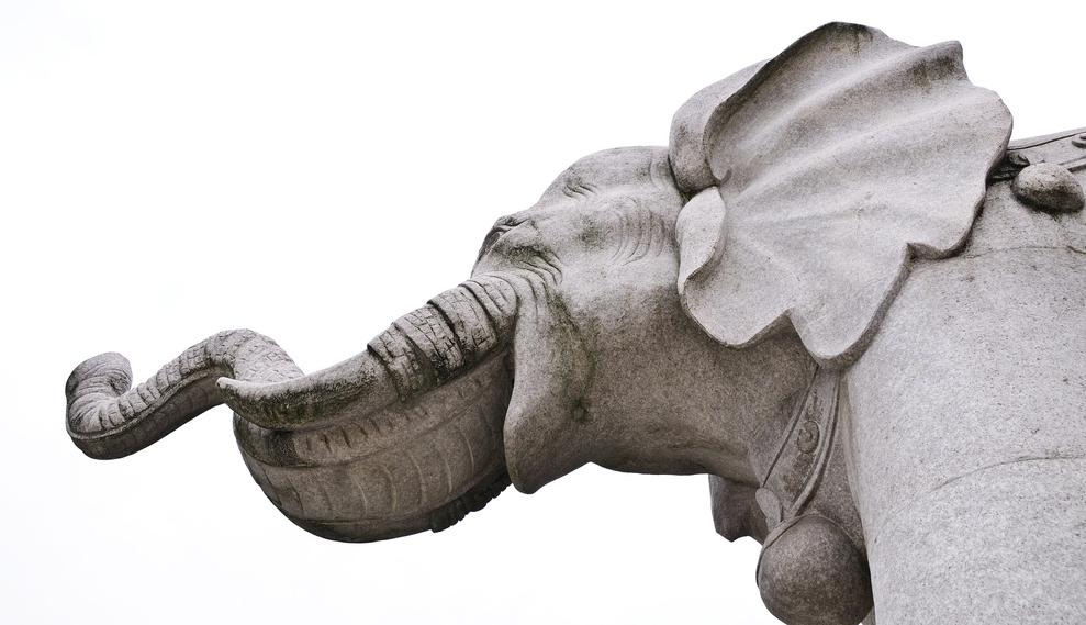 Es ist der Elefant im Raum, ber den im Marketing niemand spricht: Was, wenn auch die Dmexco und die anderen Marketing und ECommerce-Veranstaltungen abgesagt werden mssen? (Bild: Pixabay/ christels)