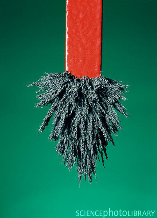 Kundenmagneten findet der Marketer nur, wenn er seine Kampagnen richtig auswertet (Bild: Cordelia Molloy/Science Photo Library)