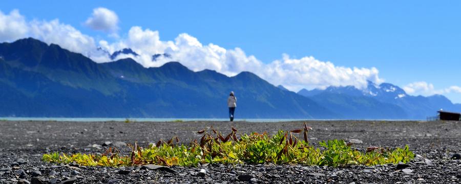 Wenn Bewerber nicht respektvoll behandelt und wertgeschätzt werden, sind sie ganz schnell über alle Berge (Bild: Satish Viswanath/Flickr)
