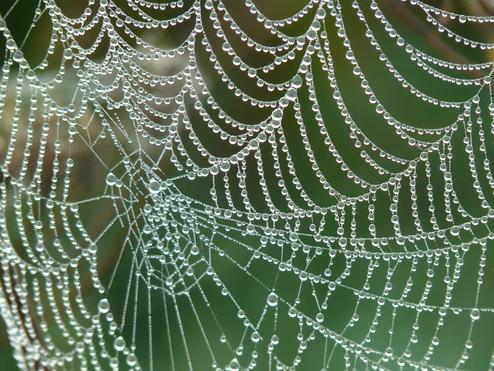 Die Vernetzung der Welt birgt eine Menge Potenzial (Bild: Pixabay / Public Domain)