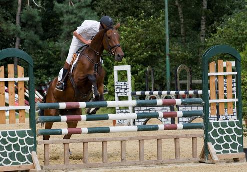 Noch ist der Weg durch den Ausschreibungsparcours mit Hindernissen gespickt (Bild: Ron Bienert / pixelio.de) Noch ist der Weg durch den Ausschreibungsparcours mit Hindernissen gespickt (Bild: Ron Bienert / pixelio.de)