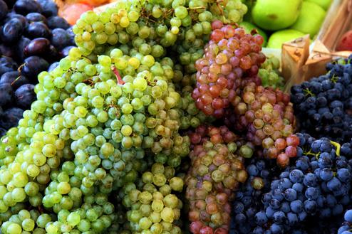 Die berühmten 'low hanging fruits' sind es nicht, die einem Onlinehändler den Arsch retten (Bild: Marco Barnebeck/pixelio.de) Die berühmten 'low hanging fruits' sind es nicht, die einem Onlinehändler den Arsch retten (Bild: Marco Barnebeck/pixelio.de)