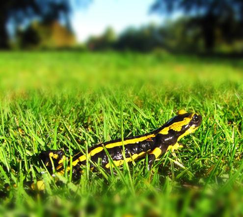 Marken auf dem Sprung in die Interaktion: Hilfe oder Hindernis? (Bild: Rainer Sturm / pixelio.de) Marken auf dem Sprung in die Interaktion: Hilfe oder Hindernis? (Bild: Rainer Sturm / pixelio.de)