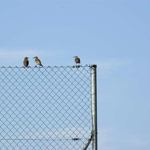  (Bild: Christian Kudler/Photocase.com)
