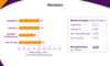 Analyse des Webauftrittes des Reifenherstellers Michelin