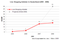Live-Shopping-Anbieter in Deutschland 2005-2008 Live-Shopping-Anbieter in Deutschland 2005-2008