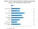 Strategie einzelner Organisationsbereiche in deutschen Unternehmen bei der Digitalen Transformation