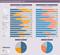 Outsourcing-Anteil im Onlinemarketing - 2017 Outsourcing-Anteil im Onlinemarketing - 2017