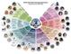 Die Anwendungswelt der Wearables
