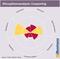 Disruptionsanalyse - Couponing Disruptionsanalyse - Couponing