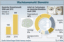 Umsatz-Wachstum des deutschen Biometriemarktes von 2006 bis 2010
