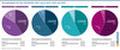 Versandmodelle der Top-100-Händler 2022 versus 2024, 2025 und 2026