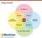 Ikigai-Modell Ikigai-Modell