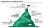 Selbsteinschtzung des Digitalisierungsgrads