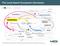 The Local Search Ecosystem (Germany) The Local Search Ecosystem (Germany)