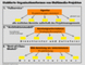 Etablierte Organisationsformen von Multimedia-Projekten