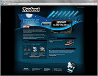 Projektdetails 'http://www.trident.ch'