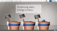 Projektdetails 'http://www.erfolg-waechst.de/'
