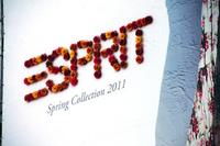 Projektdetails ''