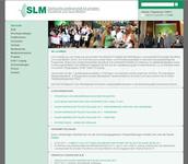 Projektdetails 'http://www.slm-online.de'